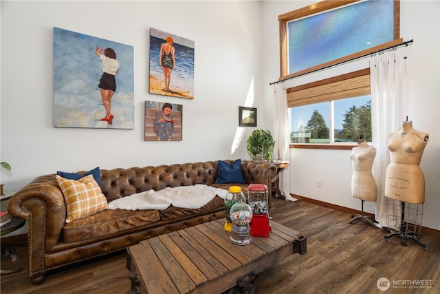 living area featuring wood finished floors and baseboards