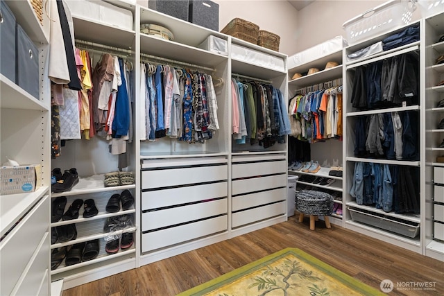 spacious closet with wood finished floors