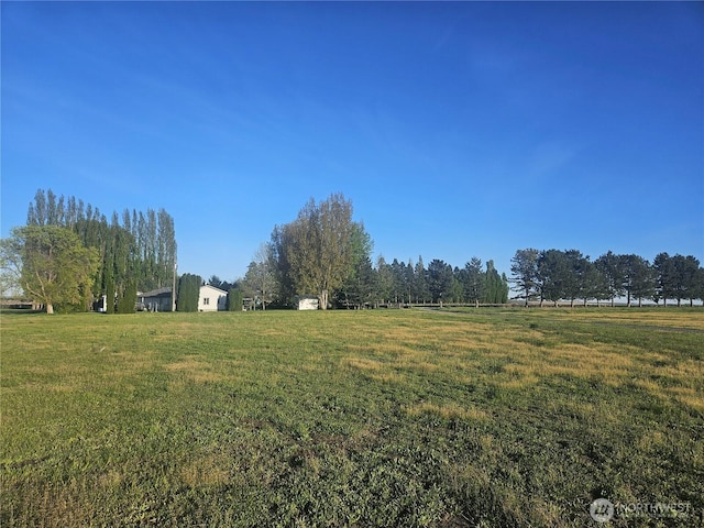 view of yard with a rural view