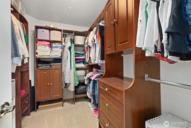 664 Lactrup Spur Ln, Camano Island, WA 98282 - walk in closet featuring light colored carpet