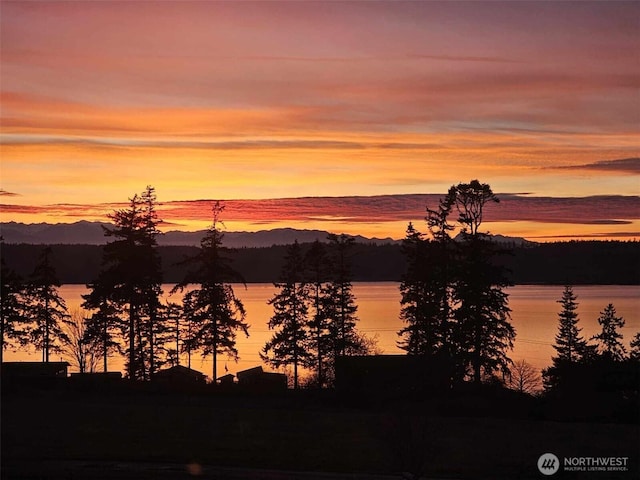 664 Lactrup Spur Ln, Camano Island, WA 98282 - view of water feature featuring a mountain view