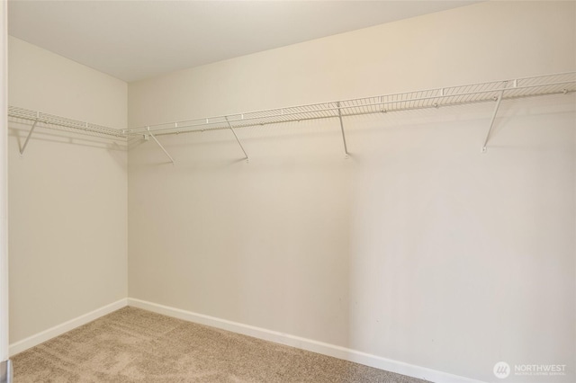 walk in closet featuring light colored carpet