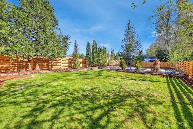 view of yard featuring a fenced backyard