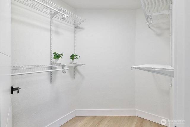 walk in closet featuring light wood-type flooring