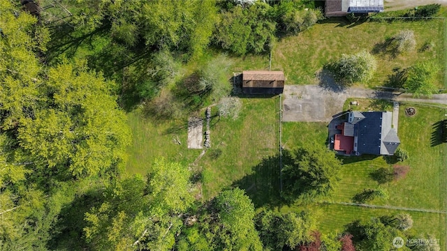 bird's eye view