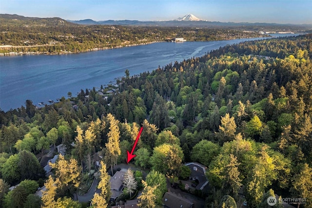 view of property location with a heavily wooded area and a water and mountain view