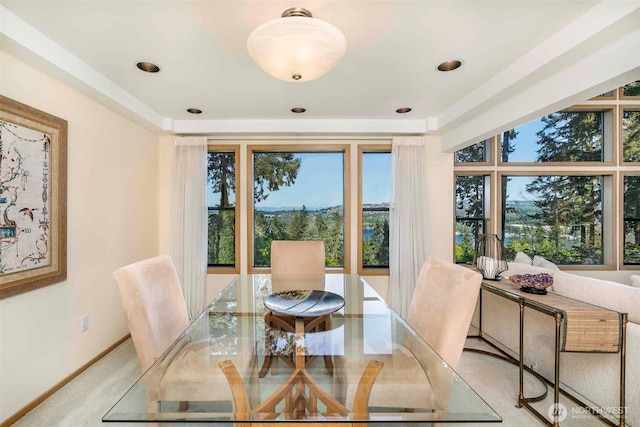 carpeted dining room with healthy amount of natural light and baseboards