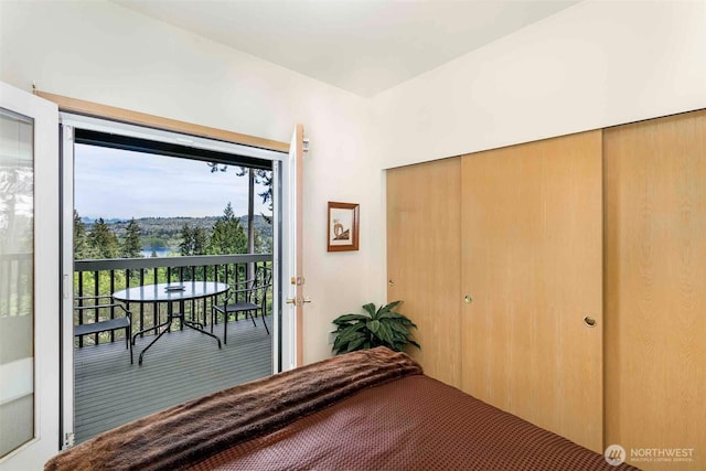bedroom with access to exterior and a closet
