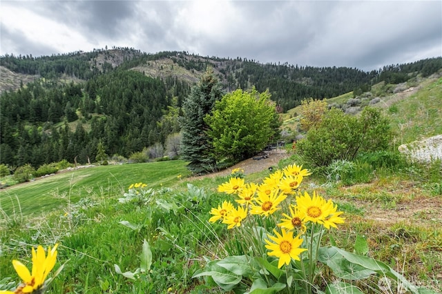 9505 Plateau Rd, Cashmere, WA 98815 - photo 37