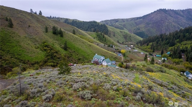 9505 Plateau Rd, Cashmere, WA 98815 - photo 38