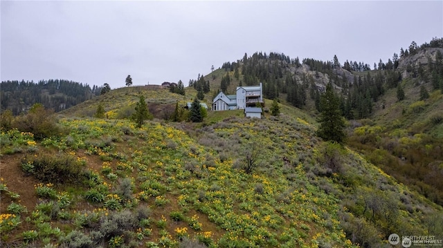9505 Plateau Rd, Cashmere, WA 98815 - photo 40