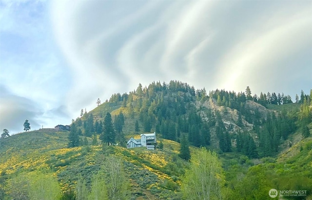 9505 Plateau Rd, Cashmere, WA 98815 - photo 4
