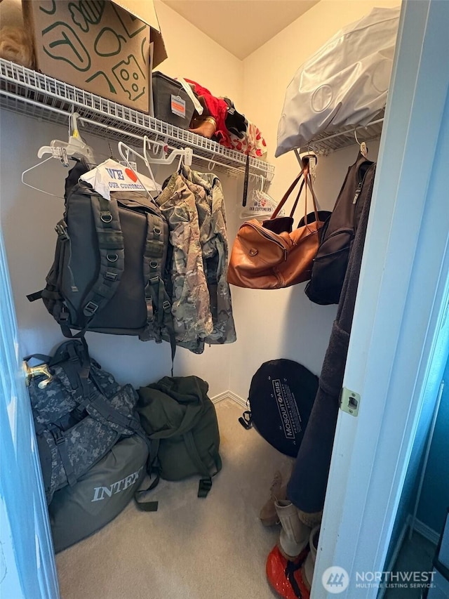 spacious closet with carpet floors
