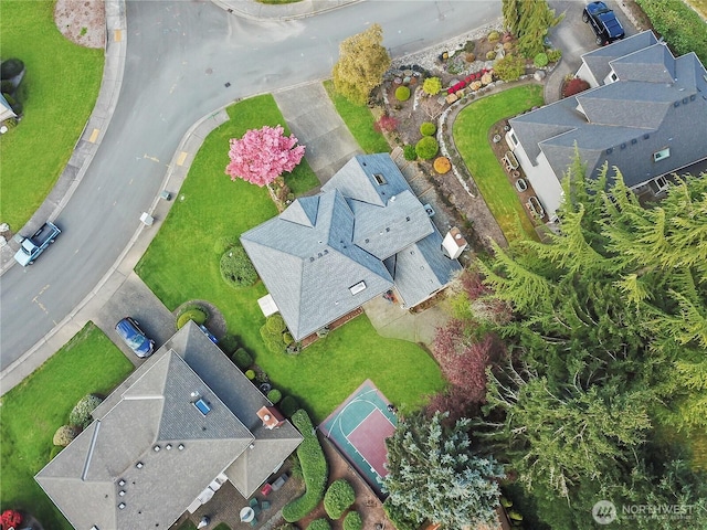drone / aerial view