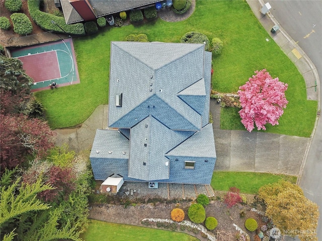 drone / aerial view