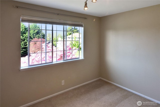 carpeted empty room with baseboards