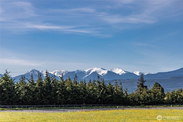 34 Van Dyken Dr, Sequim, WA 98382 - property view of mountains
