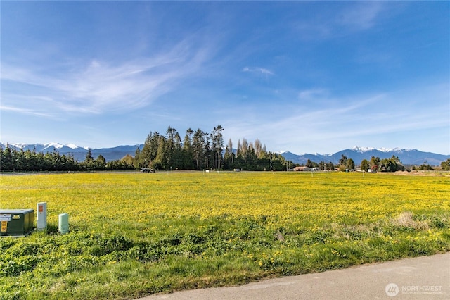 34 Van Dyken Dr, Sequim, WA 98382 - property view of mountains with a rural view