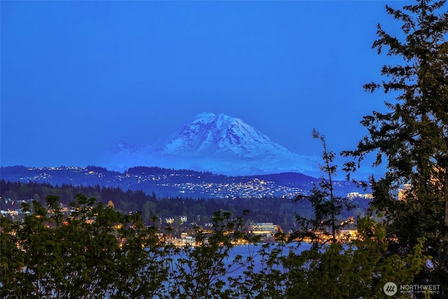 11324 83rd Pl NE, Kirkland, WA 98034 - property view of mountains featuring a forest view