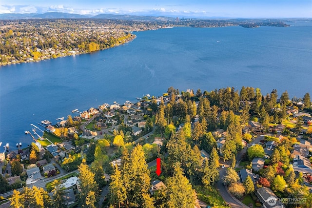 11324 83rd Pl NE, Kirkland, WA 98034 - drone / aerial view featuring a water and mountain view