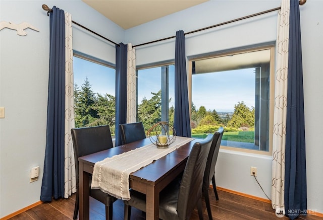1573 Doe Run Rd, Sequim, WA 98382 - dining area with plenty of natural light, baseboards, and dark wood-style flooring