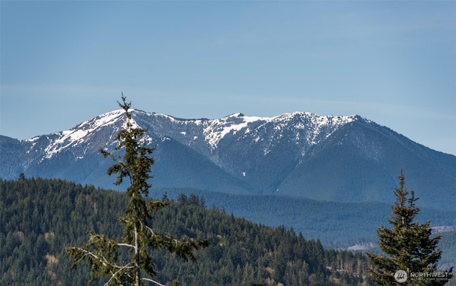 1573 Doe Run Rd, Sequim, WA 98382 - photo 3