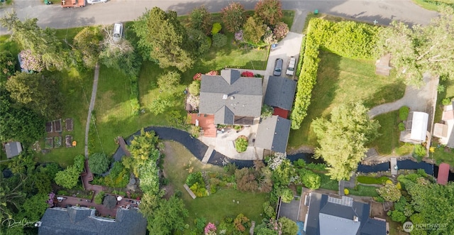 bird's eye view