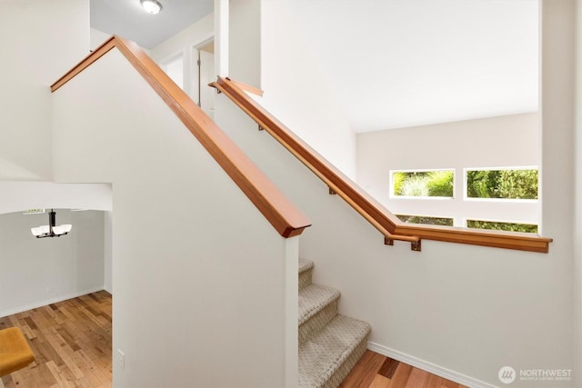 1222 Birch St, Bellingham, WA 98229 - photo 22