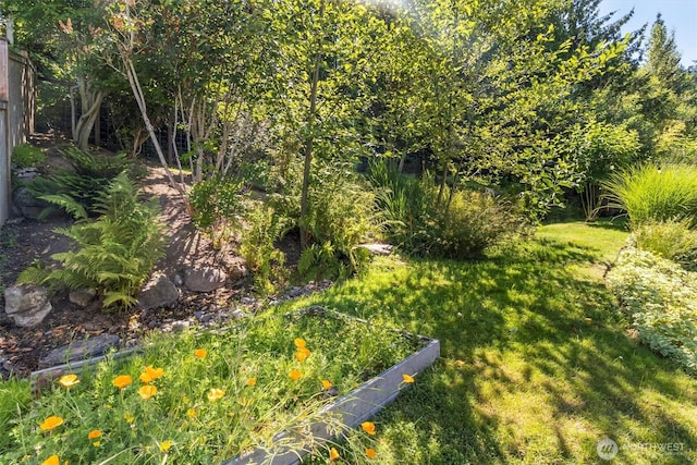 1222 Birch St, Bellingham, WA 98229 - photo 32