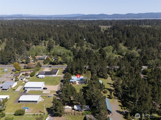 1506 163rd Pl, Long Beach, WA 98631 - aerial view featuring a wooded view and a mountain view
