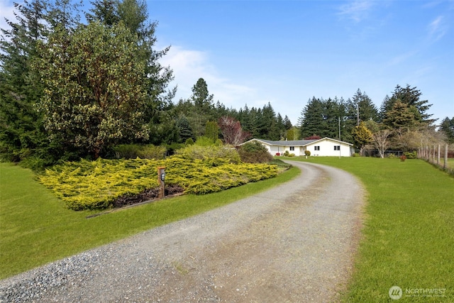 view of street featuring dirt driveway