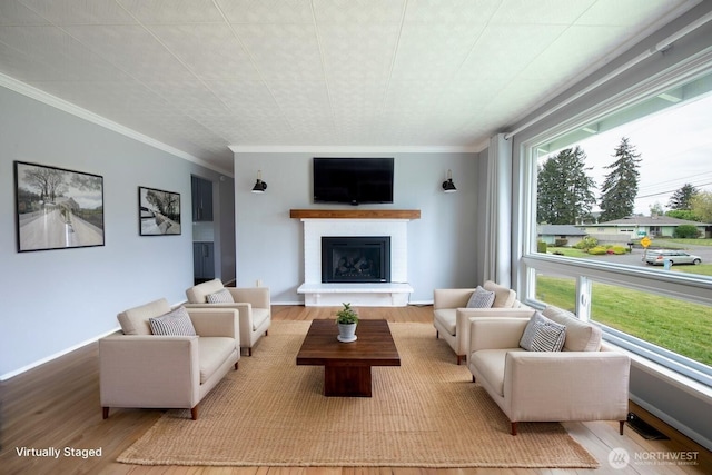 living area with ornamental molding, a fireplace with raised hearth, and wood finished floors