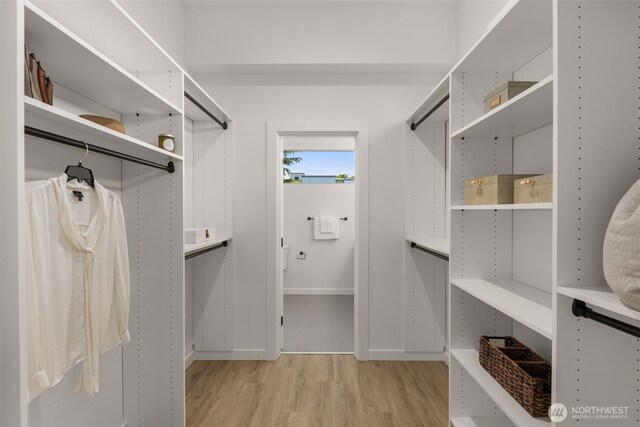walk in closet with light wood finished floors