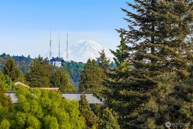 mountain view