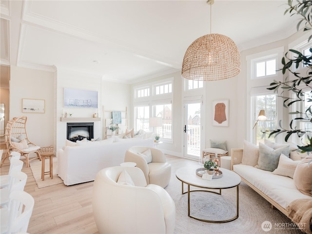 204 Market St Unit A, Pacific Beach, WA 98571 - living room featuring light wood-style floors, ornamental molding, and a glass covered fireplace