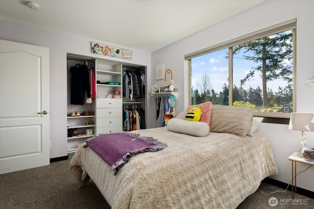 carpeted bedroom with a closet and multiple windows