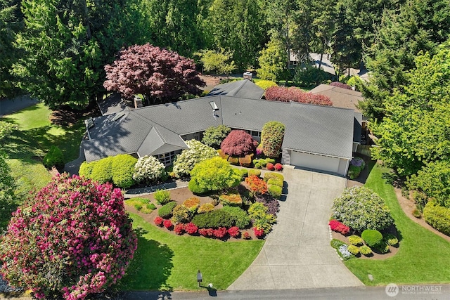 drone / aerial view