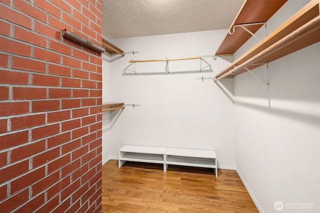 walk in closet with wood finished floors
