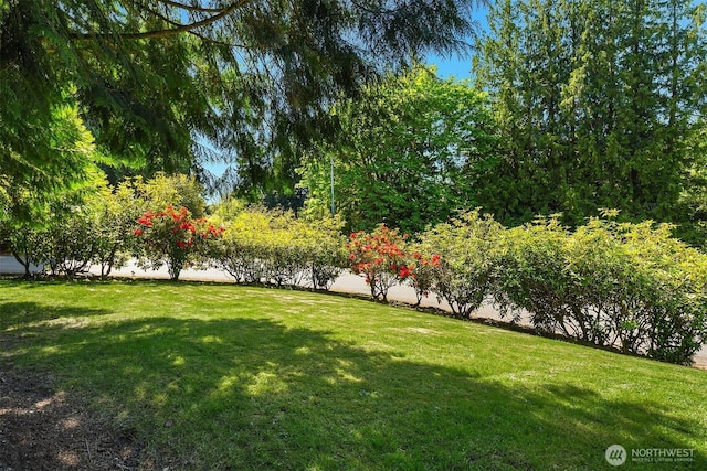 view of yard
