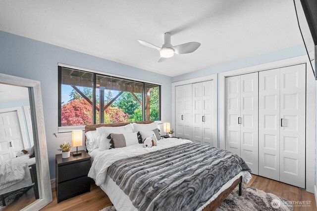 bedroom featuring ceiling fan, wood finished floors, and multiple closets