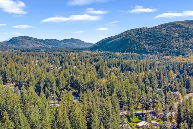 1165 Alder Ln, Sumas, WA 98295 - photo 29