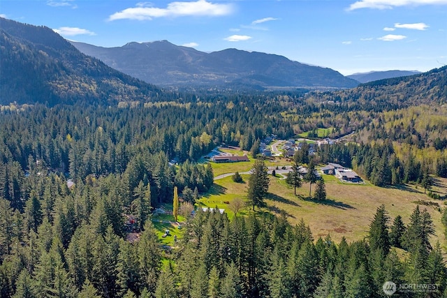 1165 Alder Ln, Sumas, WA 98295 - photo 30