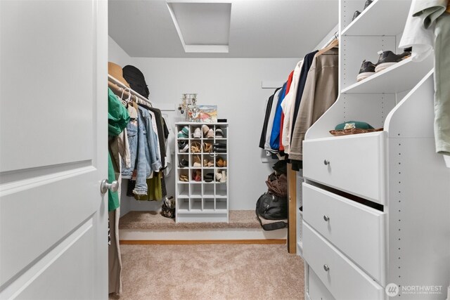 8203 32nd Ave E, Tacoma, WA 98443 - spacious closet featuring attic access and carpet flooring