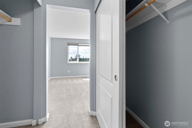 walk in closet featuring carpet