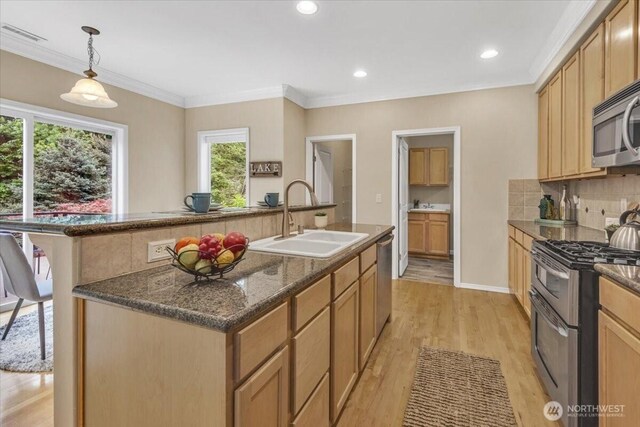 19017 5th St E, Lake Tapps, WA 98391 - kitchen with stainless steel appliances, a sink, tasteful backsplash, light wood finished floors, and a kitchen island with sink