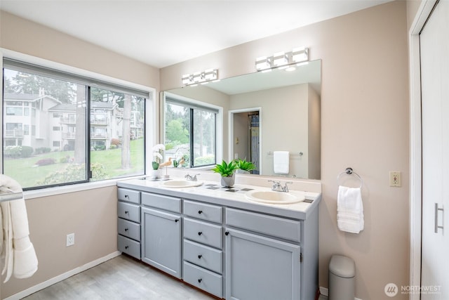bathroom featuring a sink, baseboards, double vanity, and wood finished floors