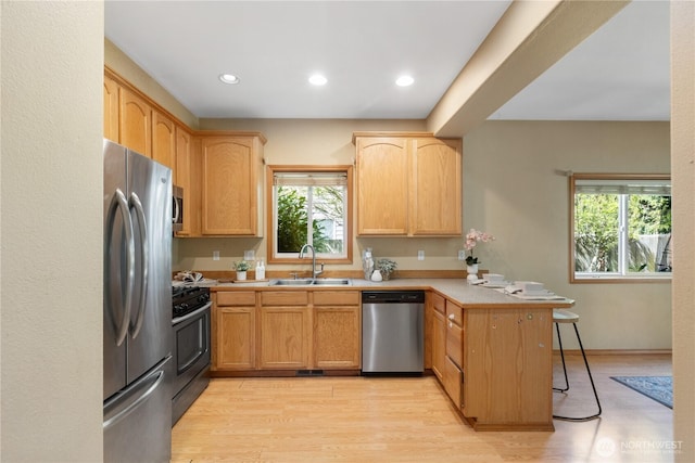 kitchen with a peninsula, a healthy amount of sunlight, appliances with stainless steel finishes, and a sink