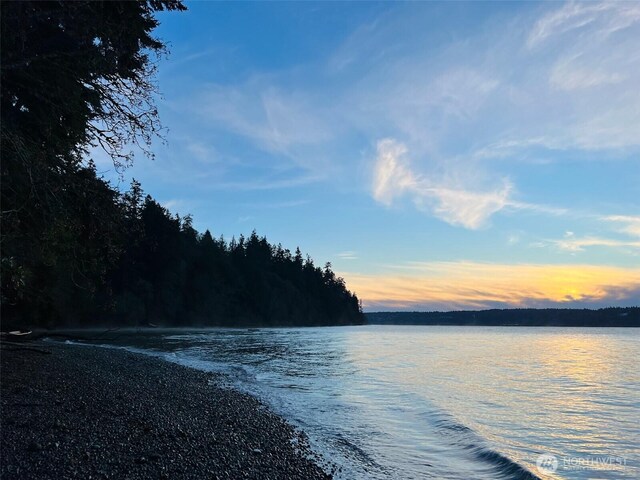 137XX SW Madrona Rd, Vashon, WA 98070 - photo 3