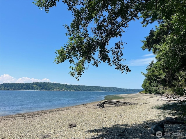 137XX SW Madrona Rd, Vashon, WA 98070 - photo 4