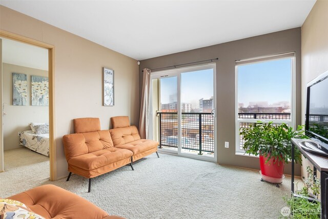 living area with carpet floors